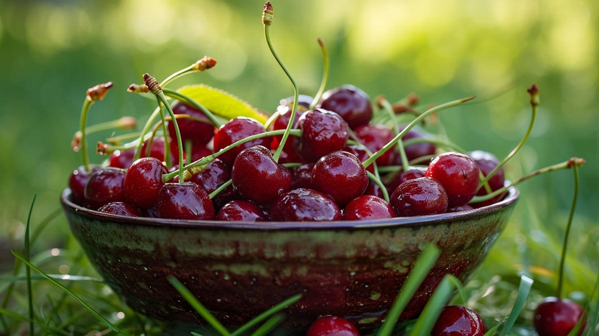 A bowl of harvested red cherry-like fruit.