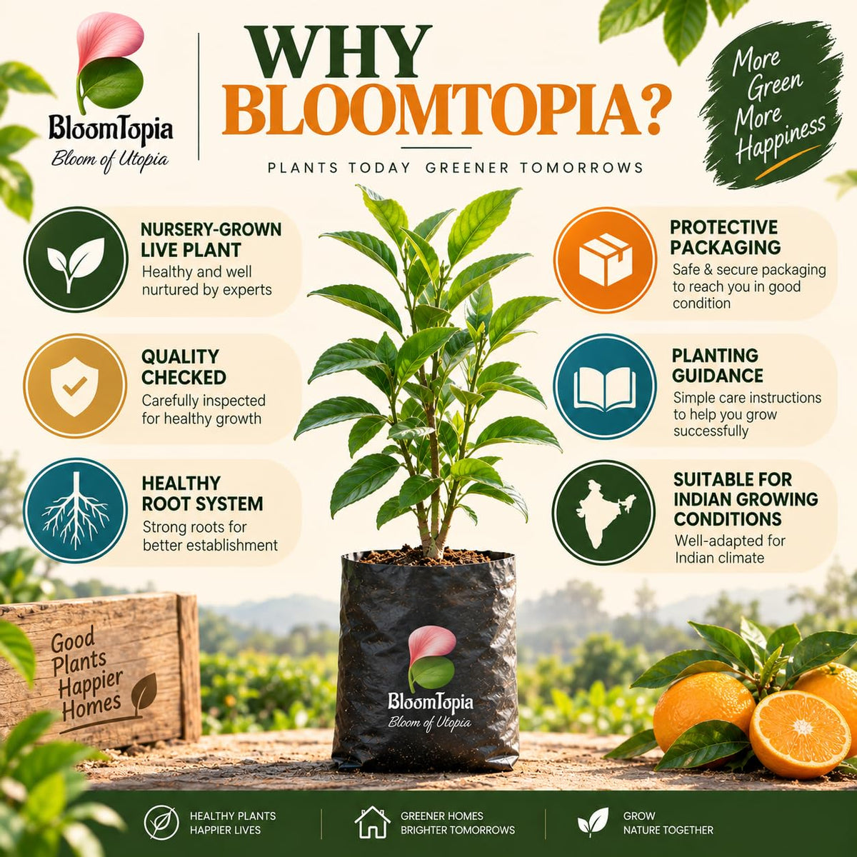 BloomTopia plant-handling and brand-information panel featuring Nagpur Mandarin Orange.