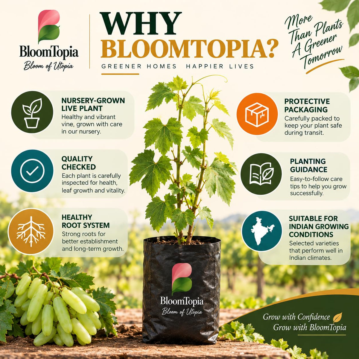 BloomTopia plant-handling and brand-information panel featuring Golden Green Grape.