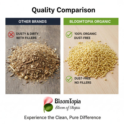 foxtail millet bird food comparison panel.