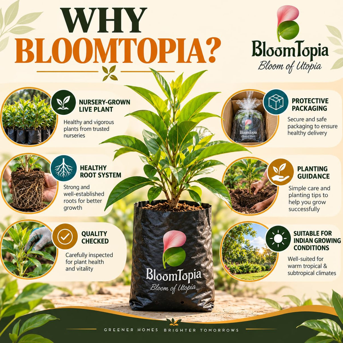 BloomTopia plant-handling and brand-information panel featuring White Swarnachampa.