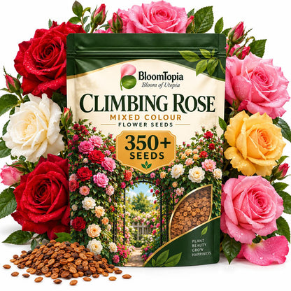 BloomTopia climbing rose seed pouch surrounded by illustrated roses.