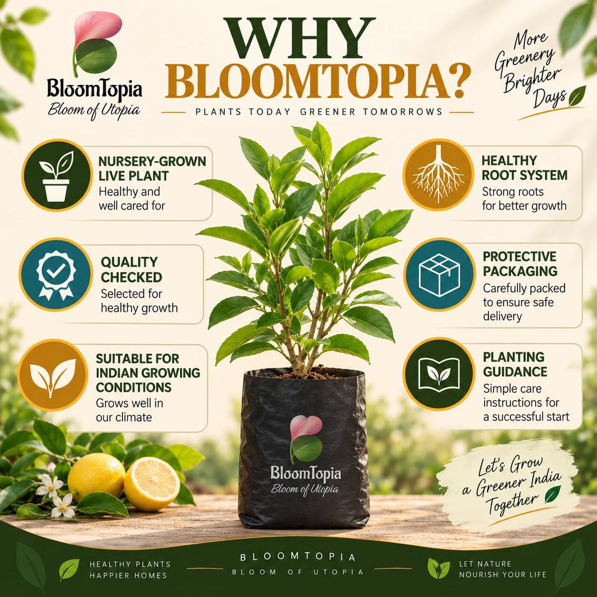 BloomTopia plant-handling and brand-information panel featuring Hybrid All-Season Lemon.