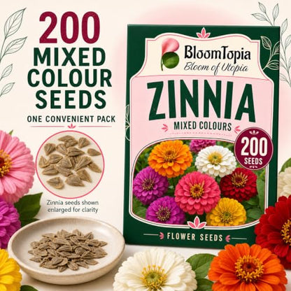 Zinnia seed pack contents.