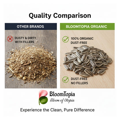 striped sunflower seed bird food comparison panel.