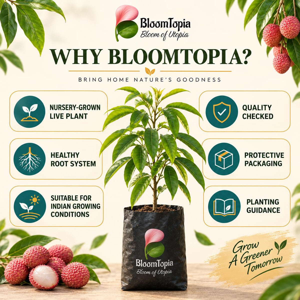 BloomTopia plant-handling and brand-information panel featuring Muzaffarpur Shahi Litchi.