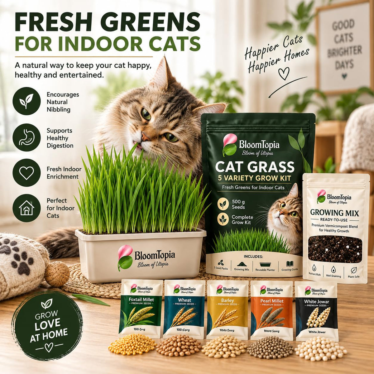 Cat grass, seed packs and a cat beside the growing kit.
