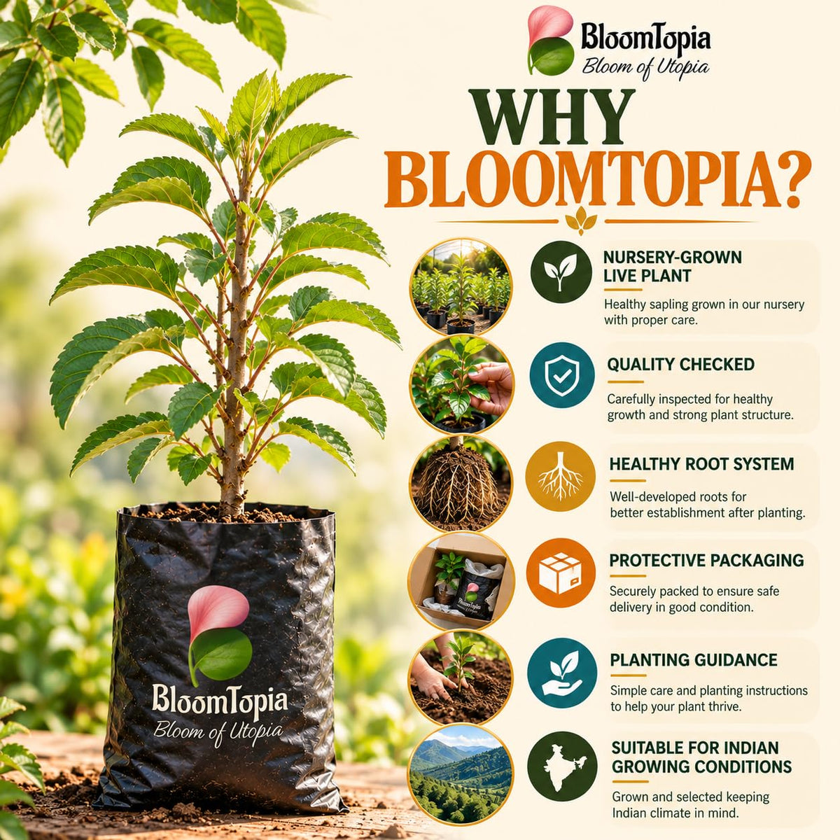 BloomTopia plant-handling and brand-information panel featuring Darjeeling Apple.