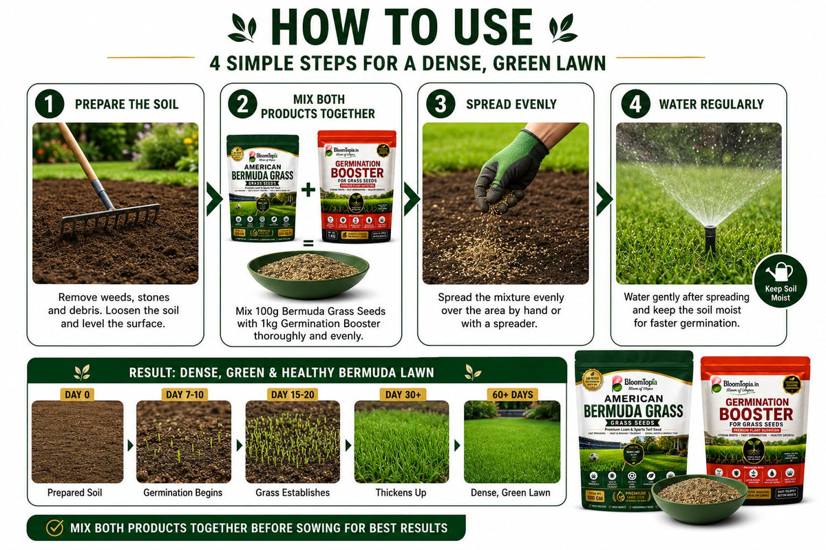 Four-step lawn seed and booster application guide.