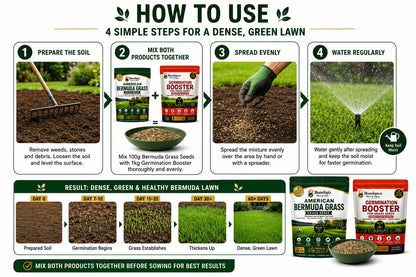 Four-step lawn seed and booster application guide.