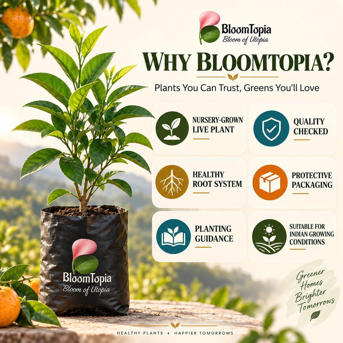 BloomTopia plant-handling and brand-information panel featuring Darjeeling Orange.