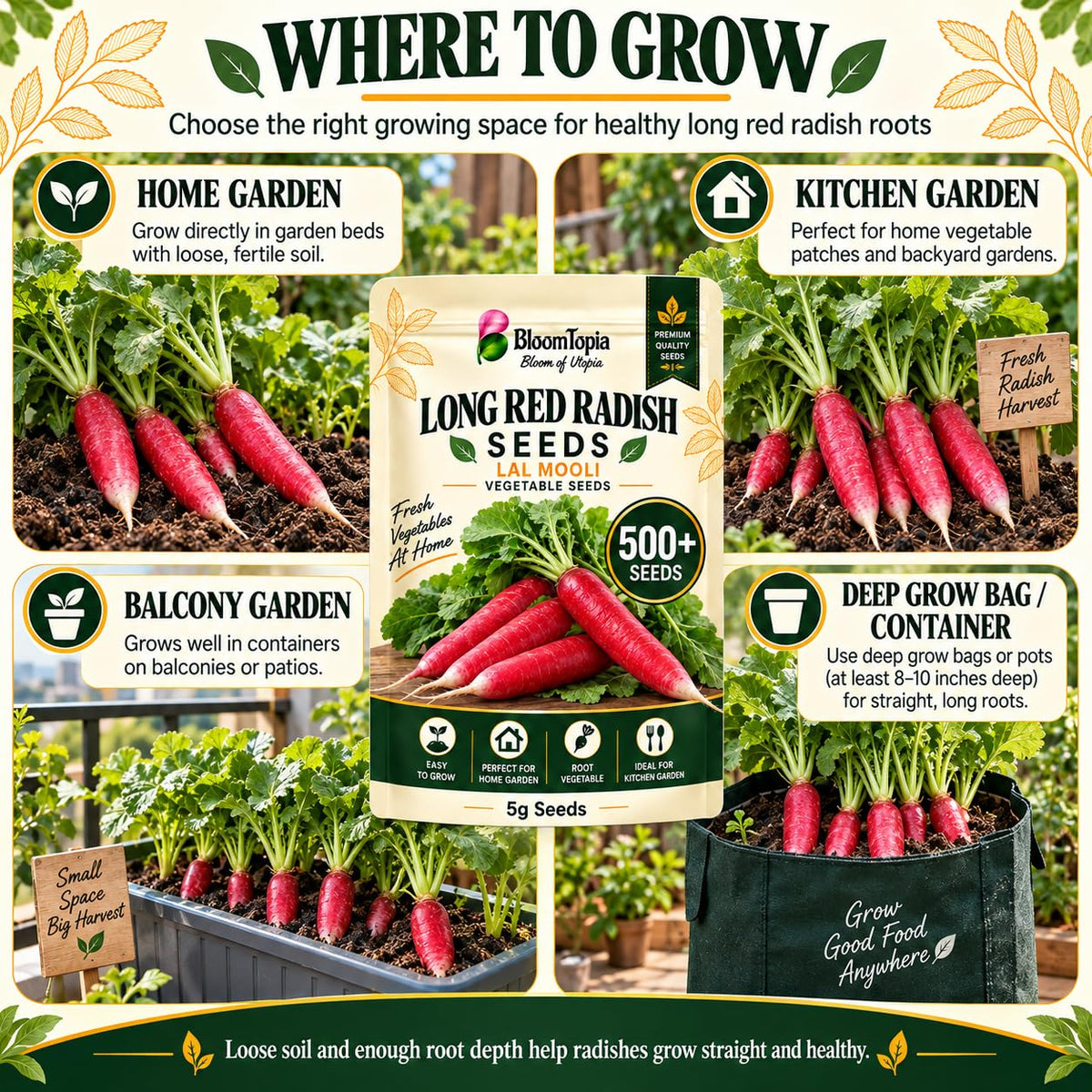 Illustrated radish growing locations in beds and containers.