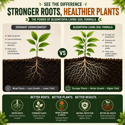 Illustrated plant root and soil comparison.