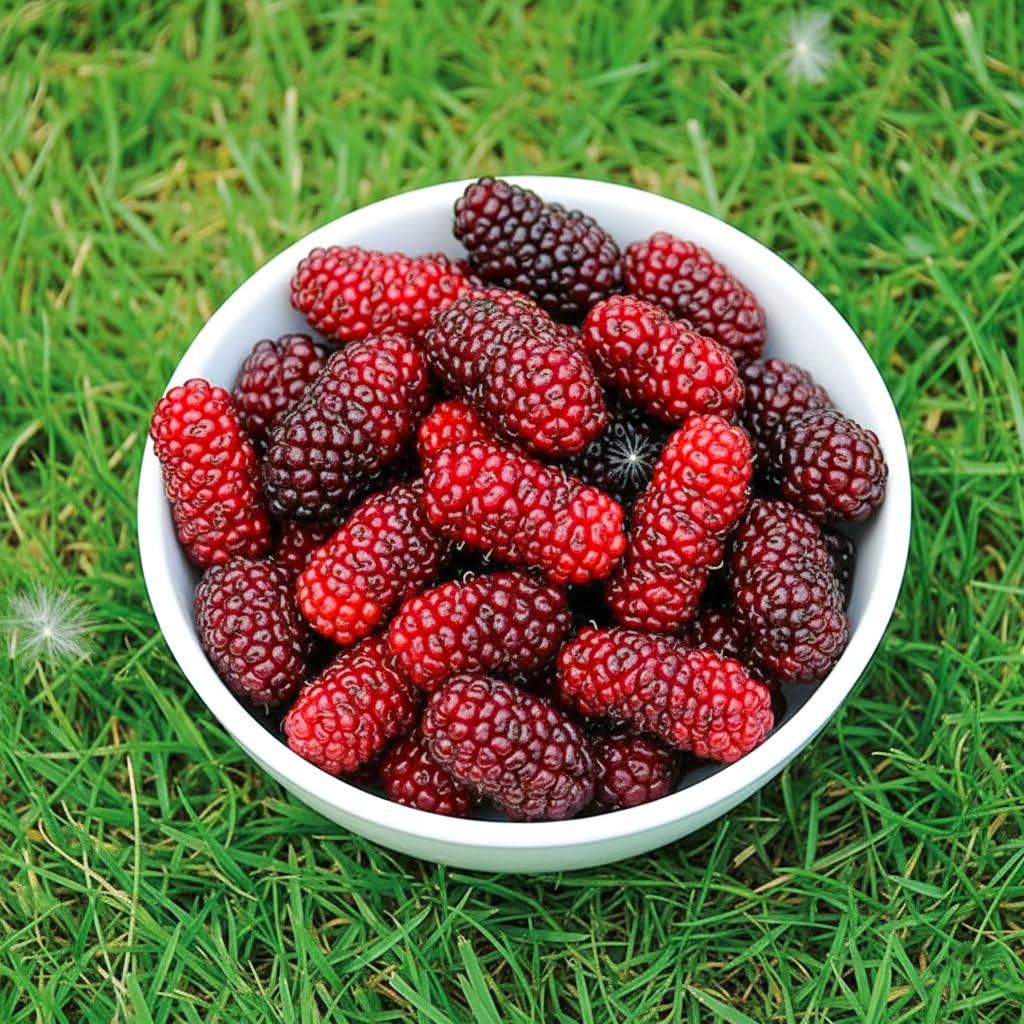 Bowl of red mulberries.