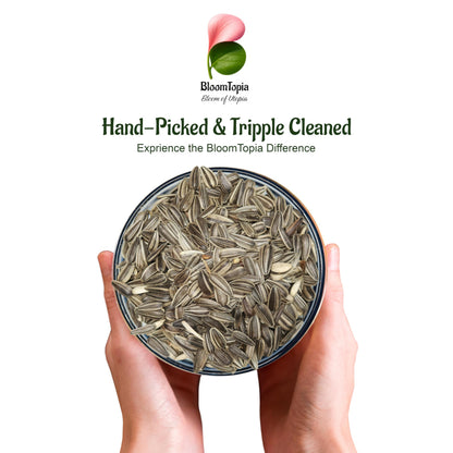 Hand holding a bowl of striped sunflower seed.
