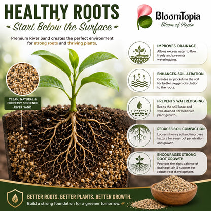 Plant roots in a soil and sand cross-section.