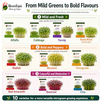 Examples of microgreen seedlings grouped by variety.