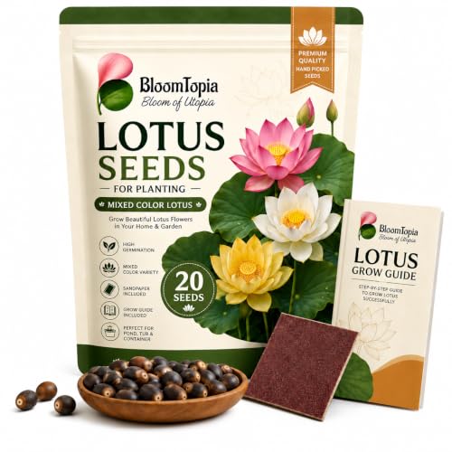 BloomTopia lotus seed pouch beside illustrated lotus flowers and seeds.