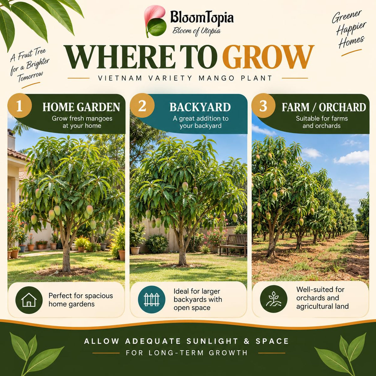 Illustrated growing locations for Vietnam Variety Mango.