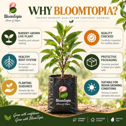 BloomTopia plant-handling and brand-information panel featuring Anna Apple.