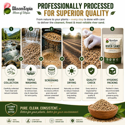 River sand processing and quality information panel.