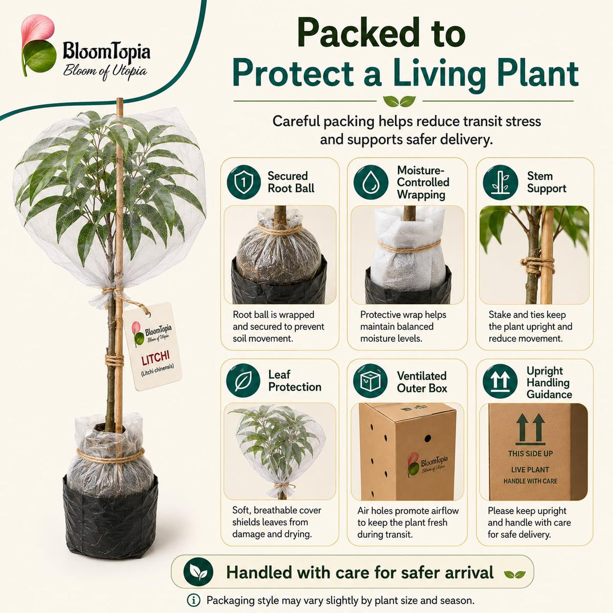 Live plant root protection and packing illustration.