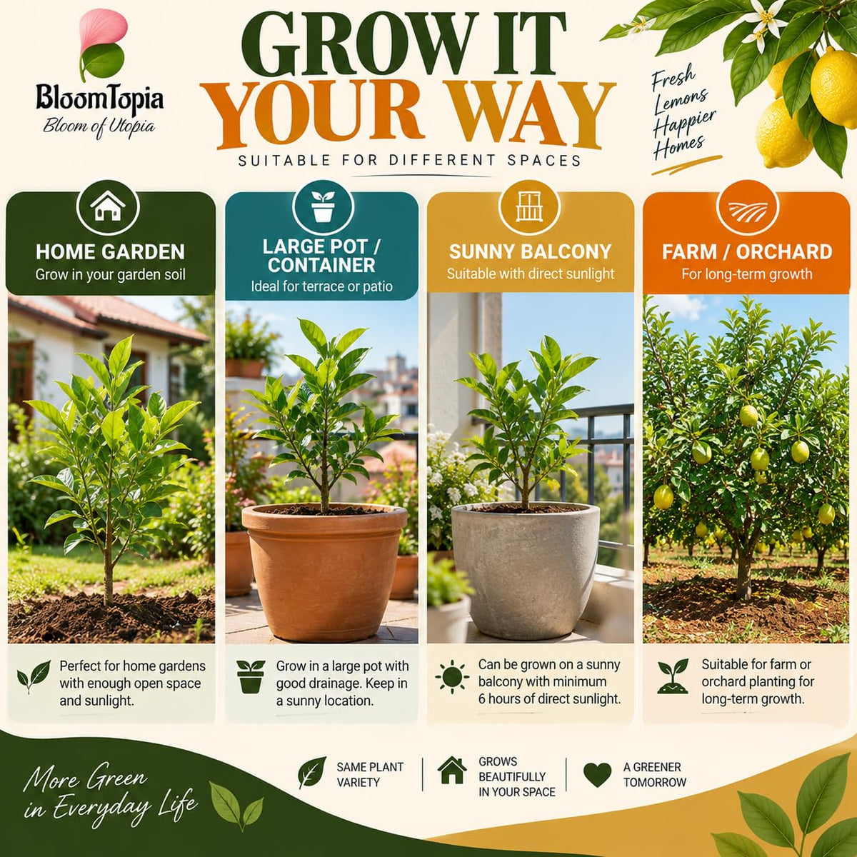Illustrated growing locations for Kolkata Pati Lebu Lemon.