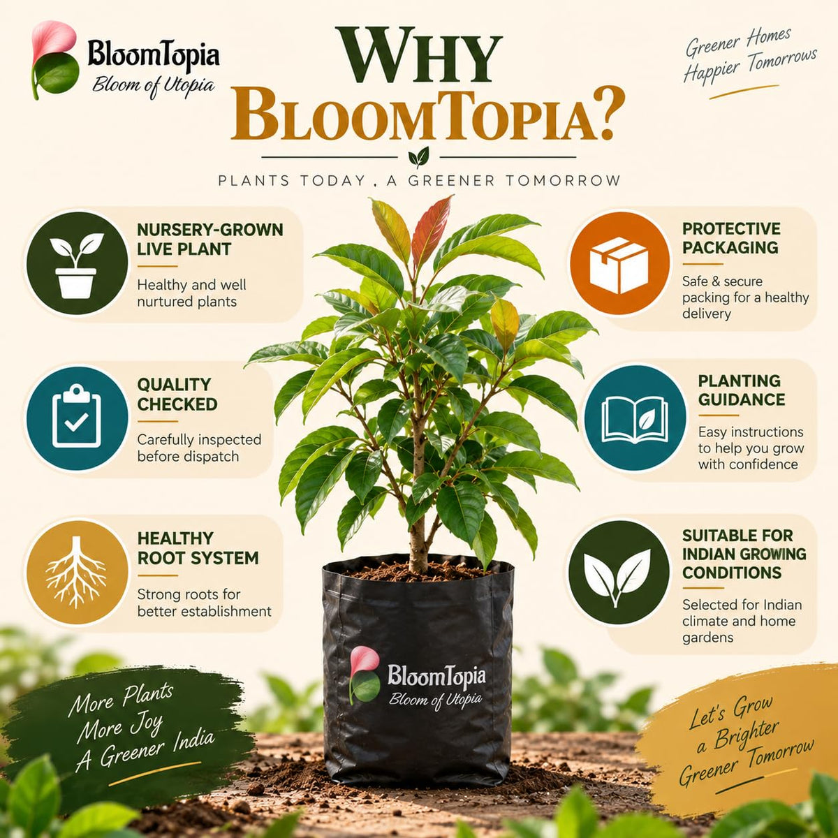 BloomTopia plant-handling and brand-information panel featuring Exotic Red Rambutan.
