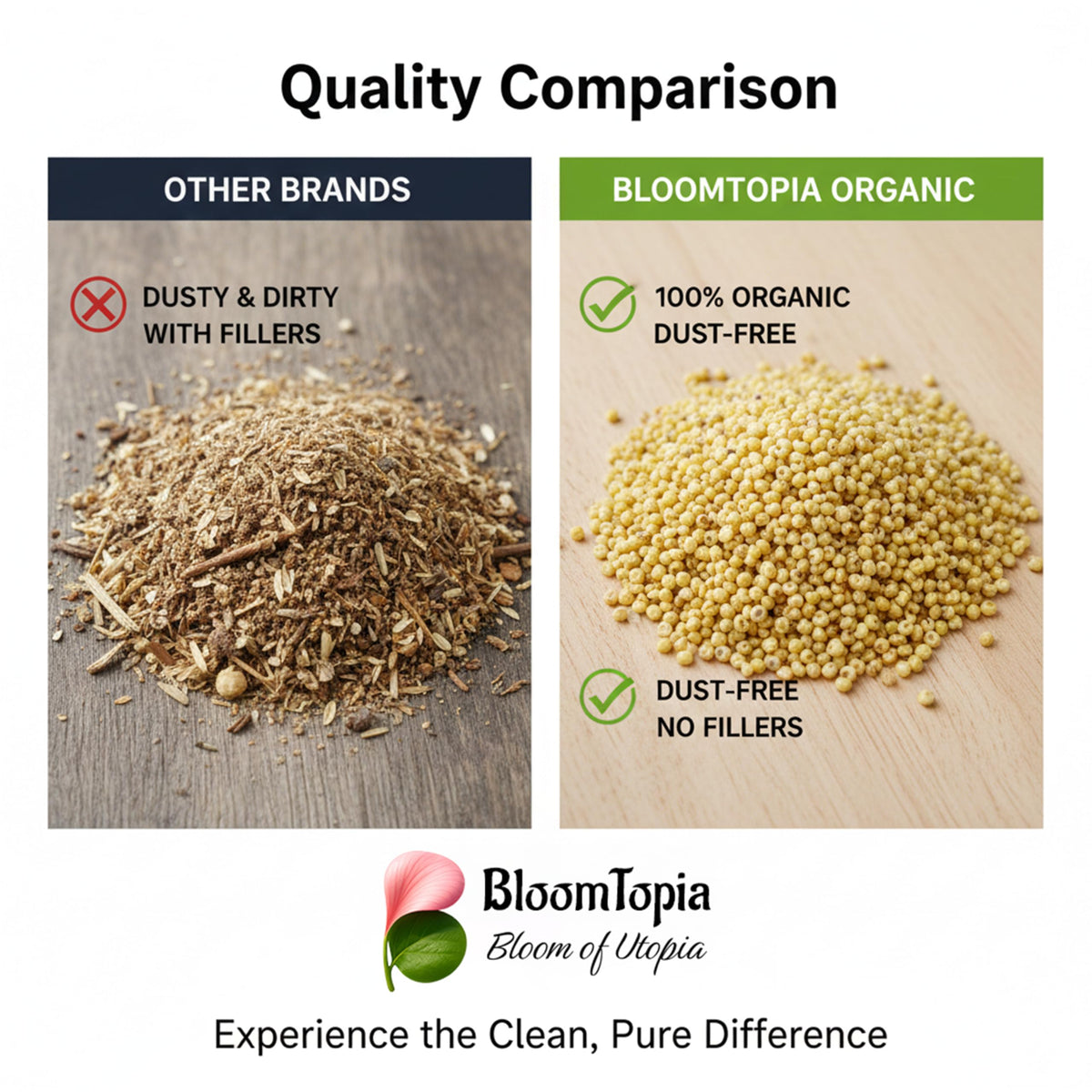 foxtail millet bird food comparison panel.
