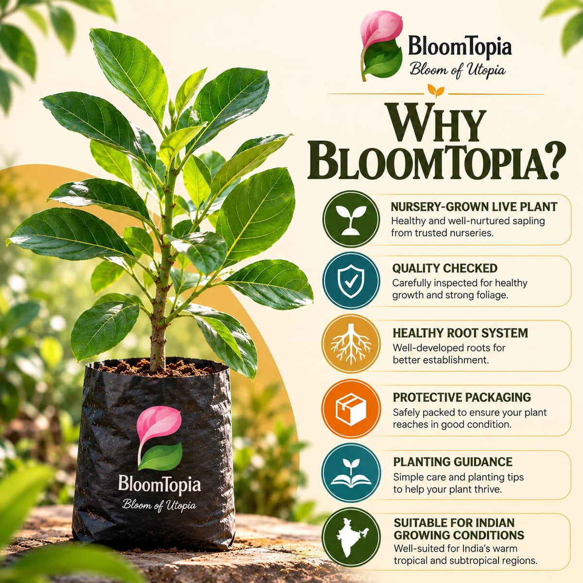 BloomTopia plant-handling and brand-information panel featuring Thai All-Time Jackfruit.