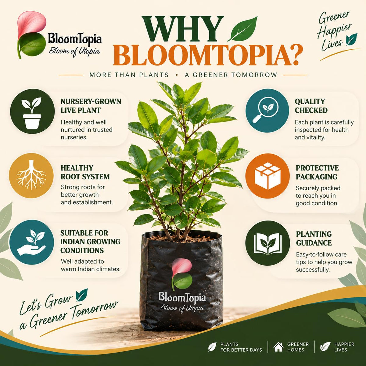 BloomTopia plant-handling and brand-information panel featuring Karonda Fruit Plant (Carissa carandas).
