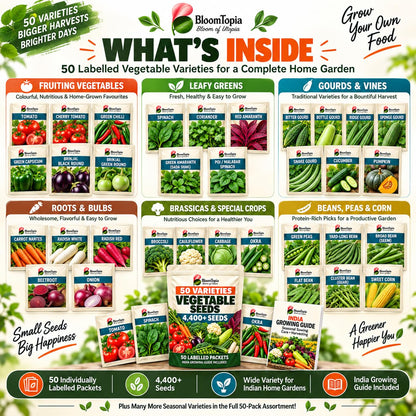 Labelled varieties included in the vegetable seed kit.