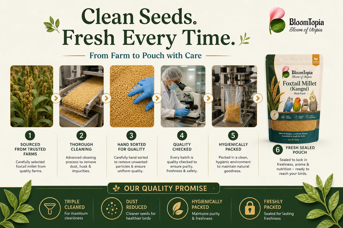 Foxtail millet ingredient selection information panel.
