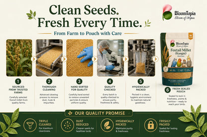 Foxtail millet ingredient selection information panel.
