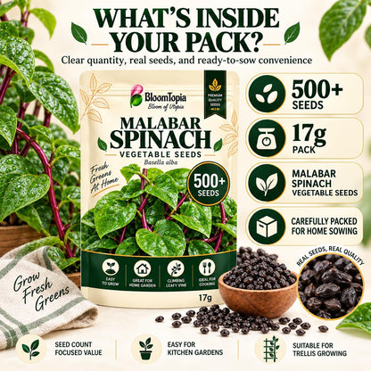 Malabar spinach pack with seed count, net weight and seed close-up.