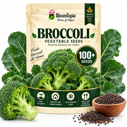BloomTopia broccoli seed pouch beside mature broccoli and loose seeds.