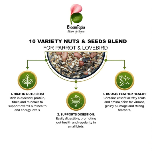 Grain and nut bird mix feeding information.