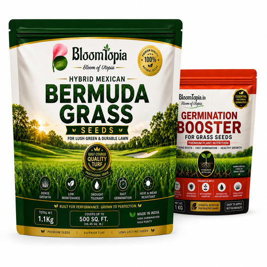 Bermuda grass seed pouch and germination booster container.
