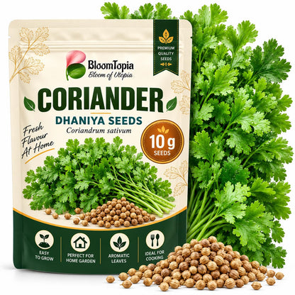BloomTopia coriander seed pouch beside fresh leaves and loose seeds.