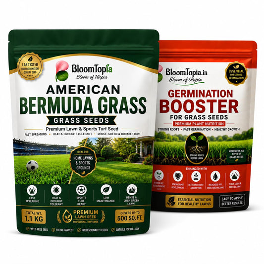 Bermuda grass seed and germination booster packs.