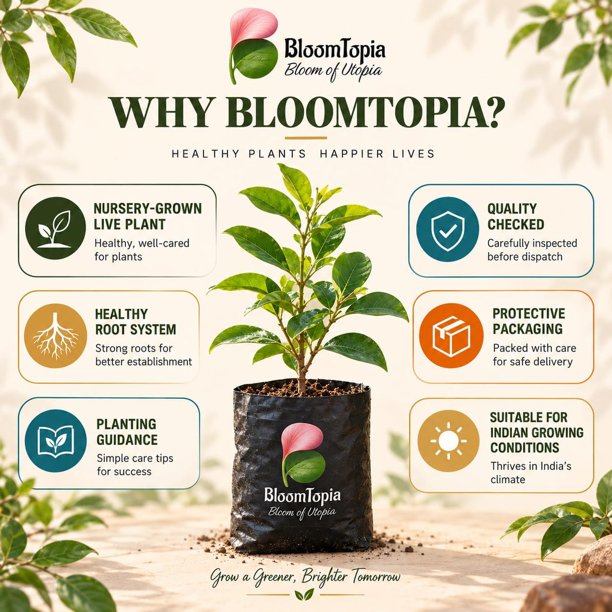 BloomTopia plant-handling and brand-information panel featuring Barbados Cherry.