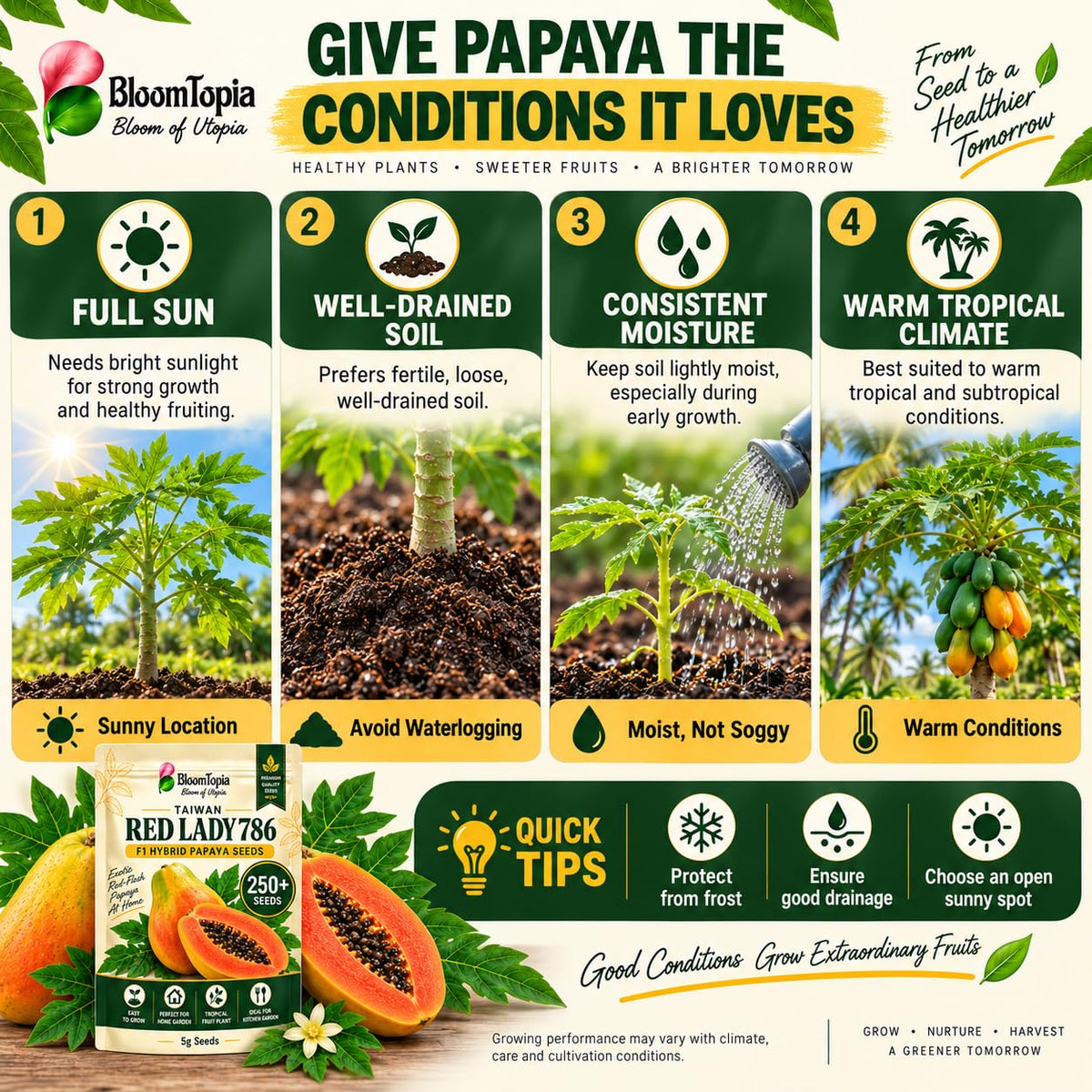 Papaya sunlight, moisture, soil and warm-climate growing guide.