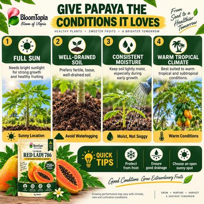 Papaya sunlight, moisture, soil and warm-climate growing guide.