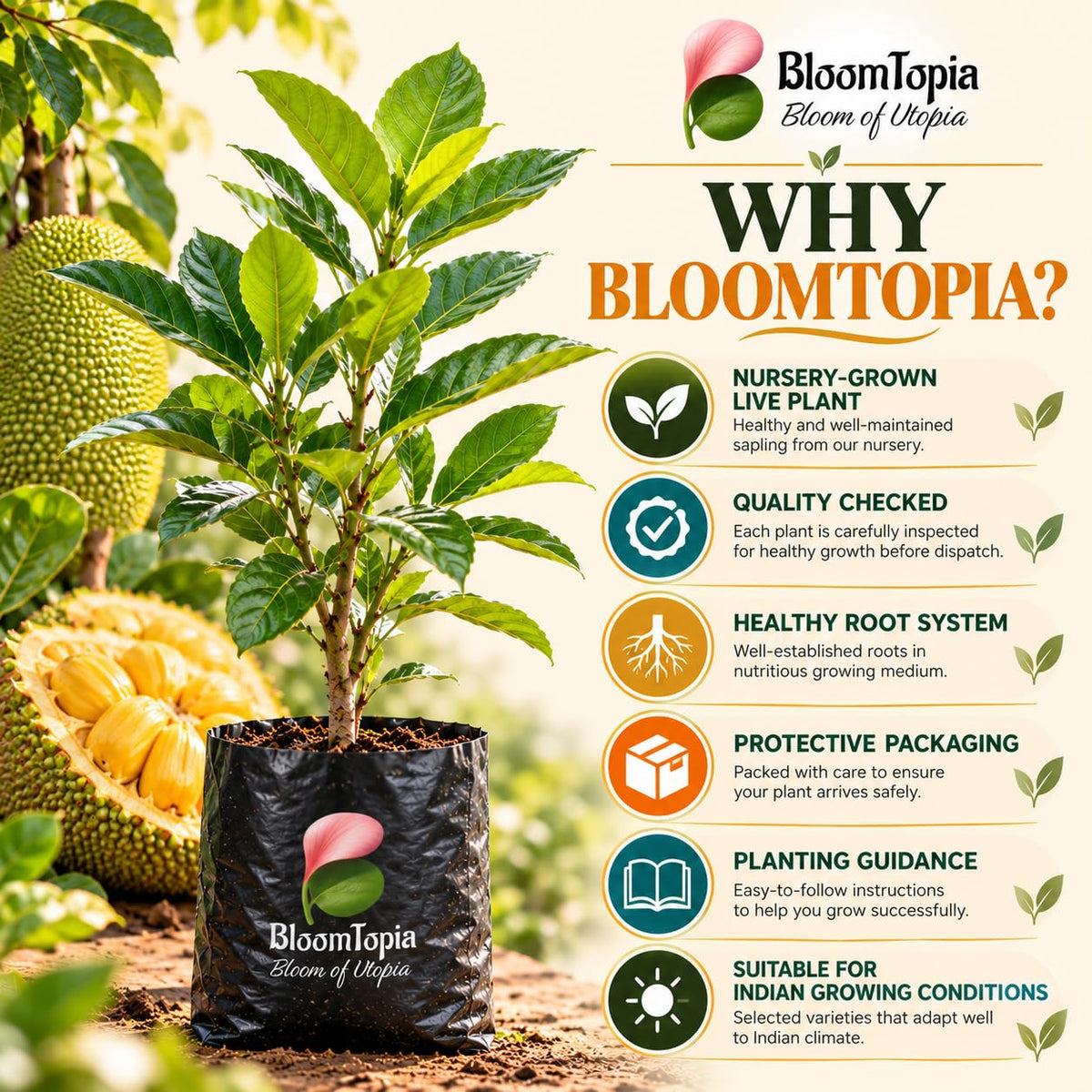 BloomTopia plant-handling and brand-information panel featuring Vietnam Super Early Jackfruit.