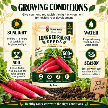 Radish light, moisture, soil and seasonal-growing guide.