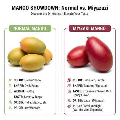 Illustrated comparison of mango varieties.