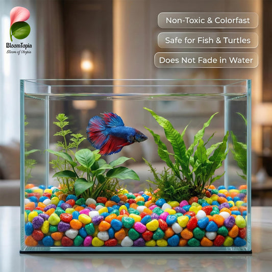 Aquarium decorated with multicolour stones.