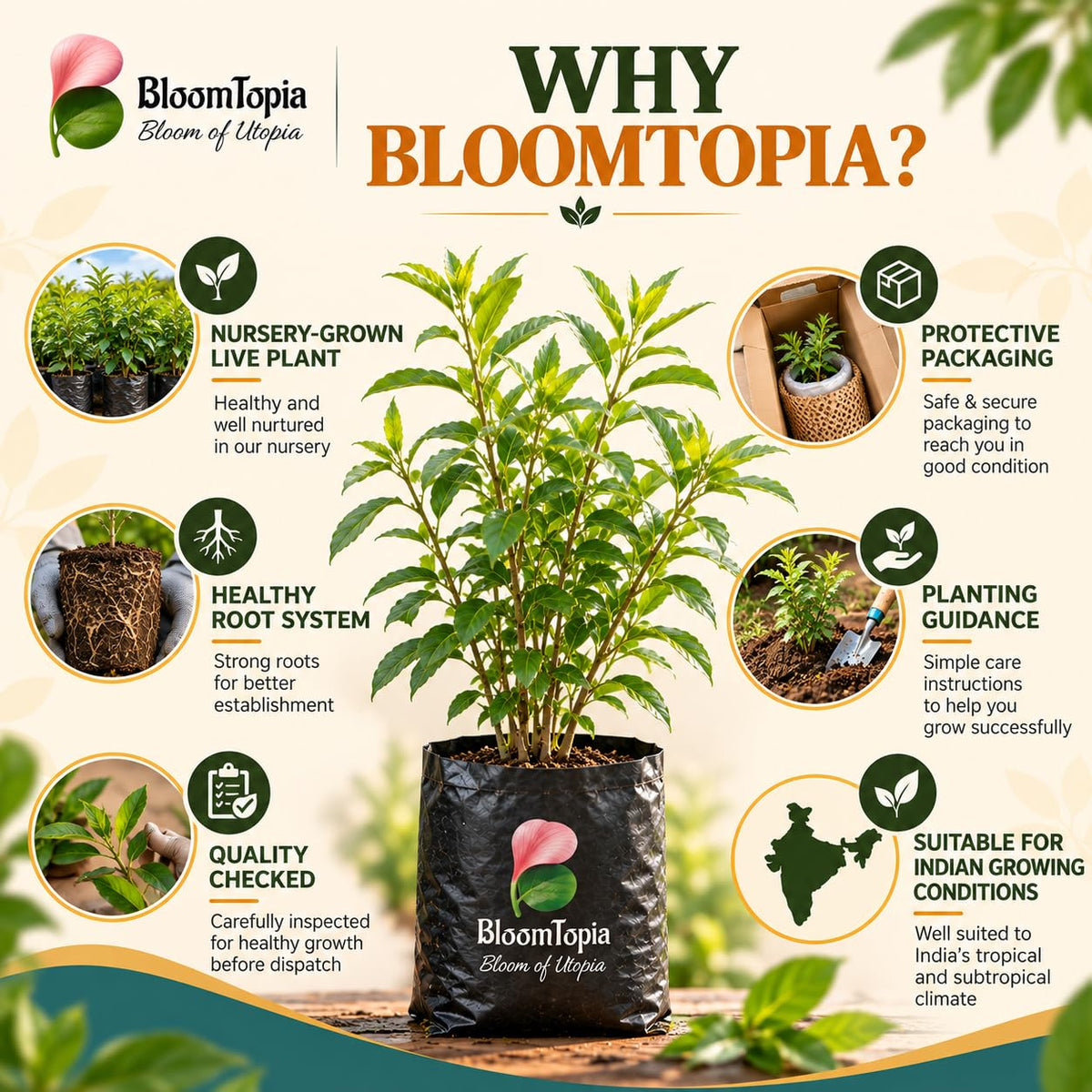 BloomTopia plant-handling and brand-information panel featuring Raat Ki Rani Night Blooming Jasmine.