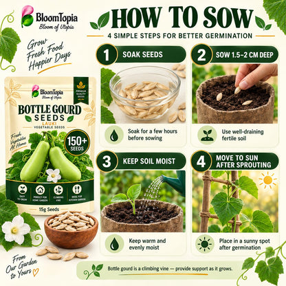 Bottle gourd seed soaking, sowing and support guide.