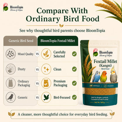 Foxtail millet bird food comparison panel.